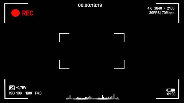 Дисплей видоискателя видеокамеры