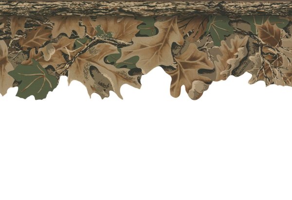 Камуфляжная рамка на прозрачном фоне