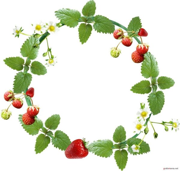Рамка клубника
