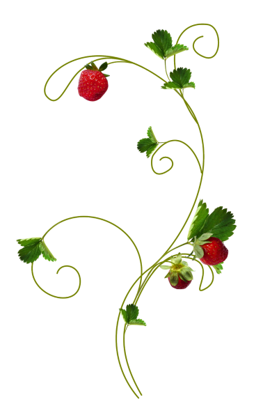 Земляника узор