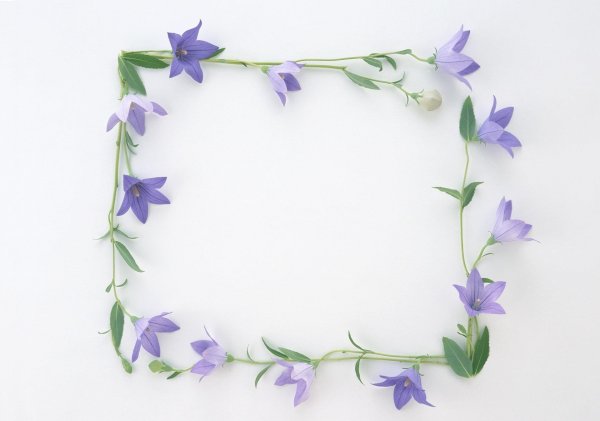 Рамка из цветов