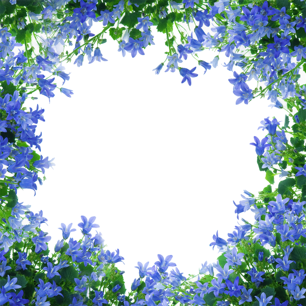 Рамка голубые цветы