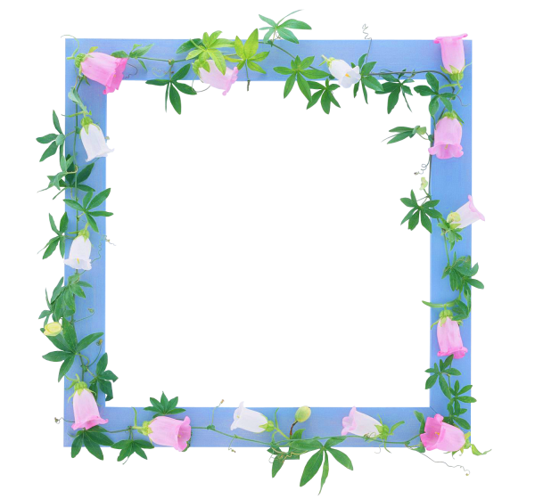 Цветочная рамка прямоугольная