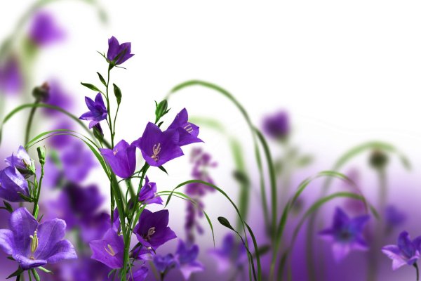 Фон колокольчики для детского сада