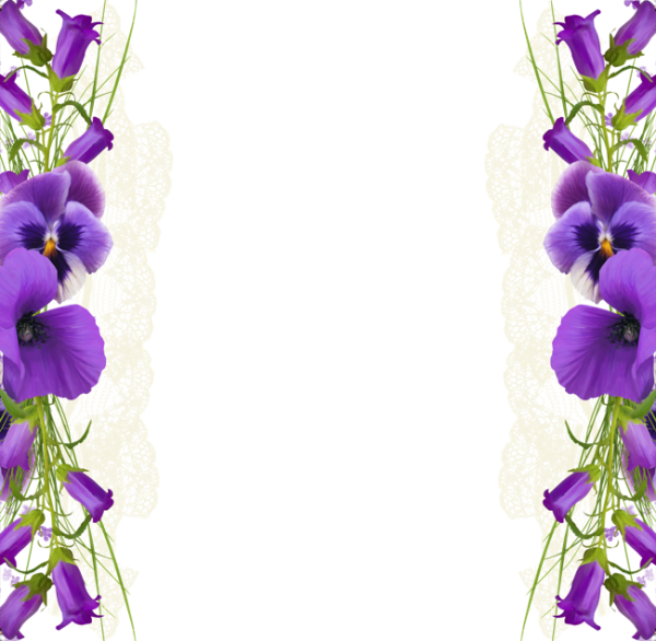 Рамка сиреневые цветы