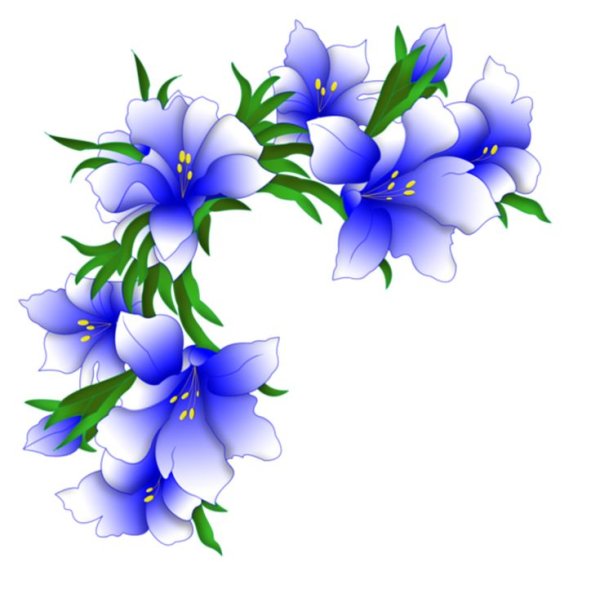 Цветочные уголки