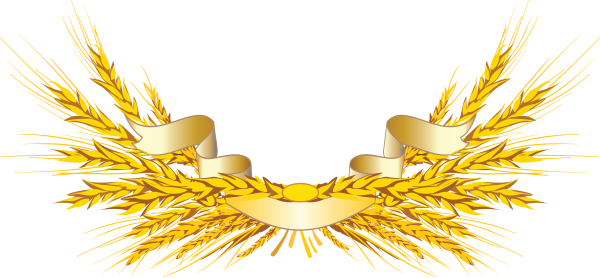 Рамка колосья