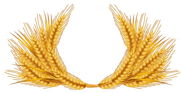 Колоски гербовые