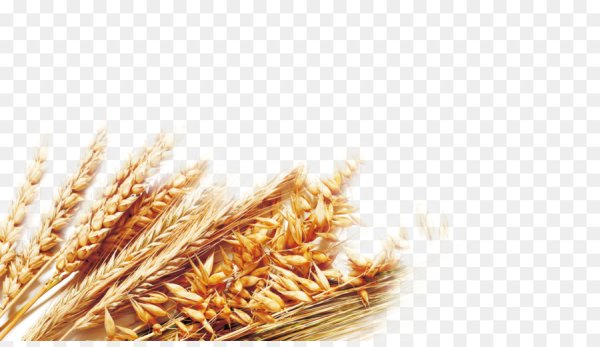 Рамка пшеница