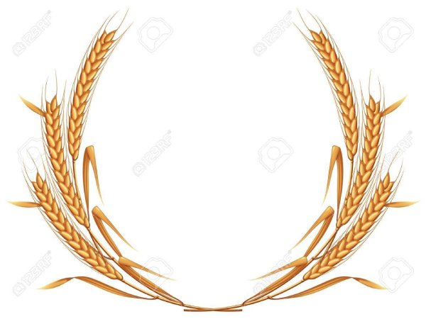 Колосья в круге