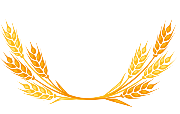 Колос вектор