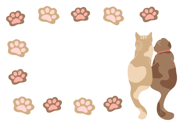 Фоны с рамкой кошачьими лапками
