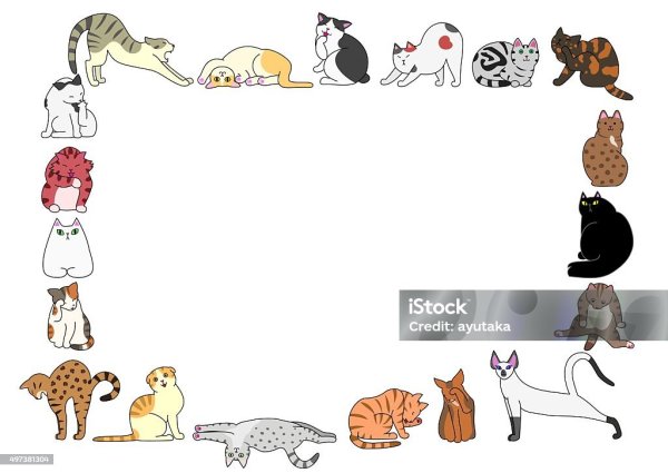 Шаблон для презентации кошки