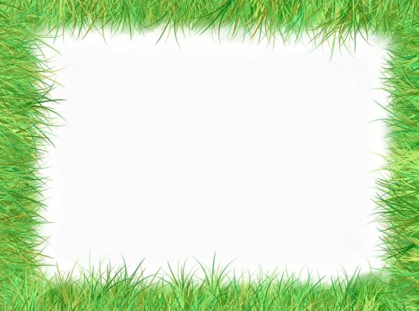 Зеленая рамка на прозрачном фоне