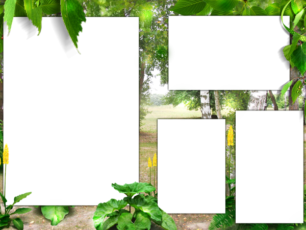 Рамка природа