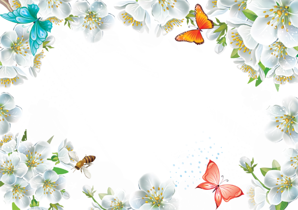 Цветочная рамка на прозрачном фоне