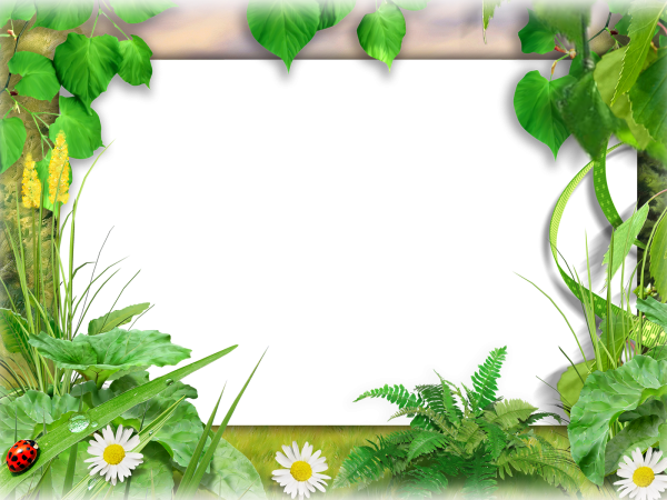 Красивая летняя рамка