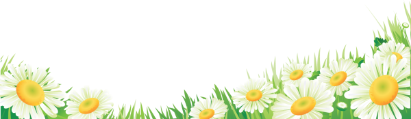 Лето на прозрачном фоне