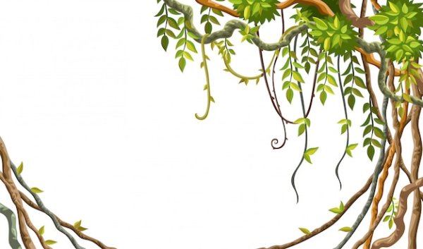 Лиана в джунглях на белом фоне