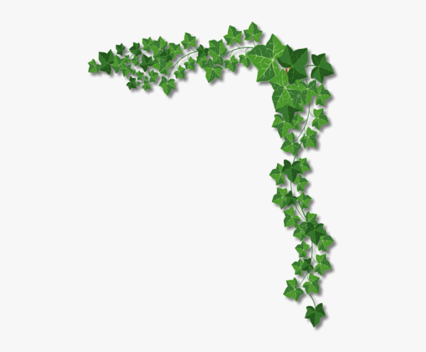 Рамка из плюща