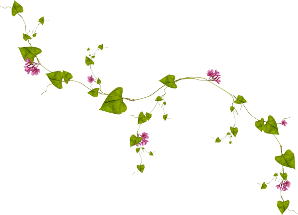 Вьющиеся цветы на прозрачном фоне