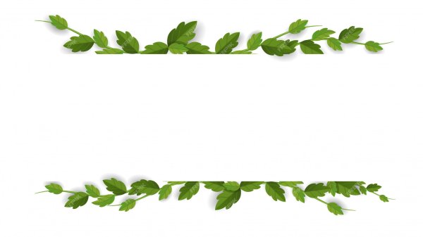 Рамка Лиана вектор слотсзтп