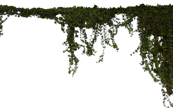 Свисающая трава