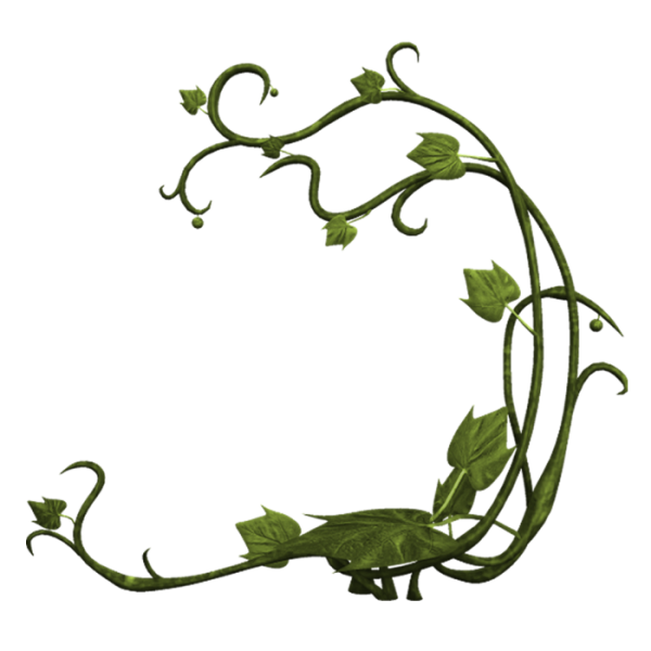 Стебель рамка