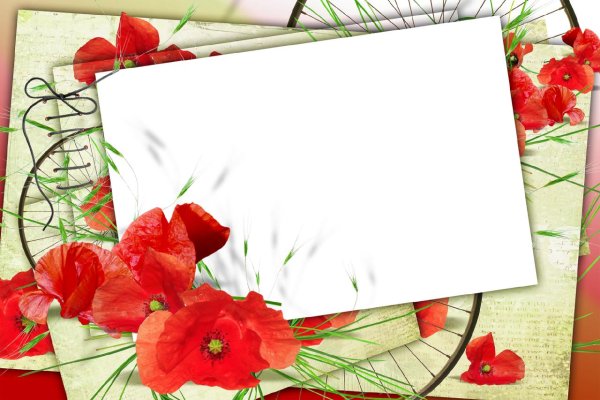 Фоторамка с маками