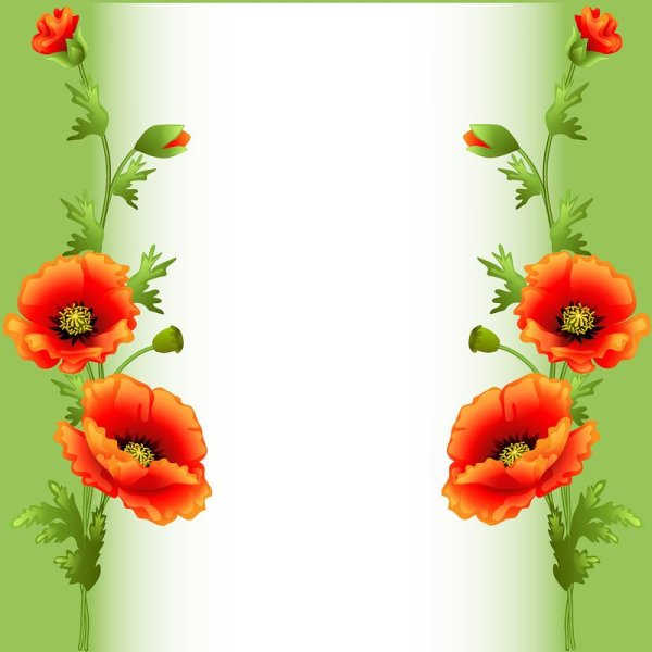 Рамка для текста с маками