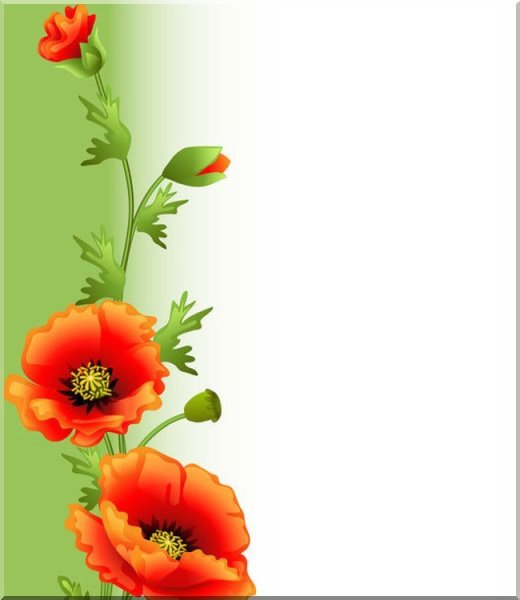 Рамка с маками