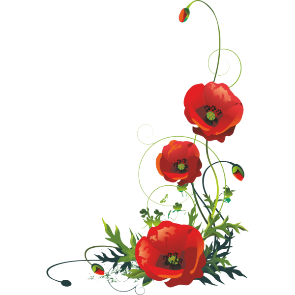 Маки орнамент