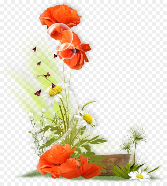 Летние цветы для фотошопа