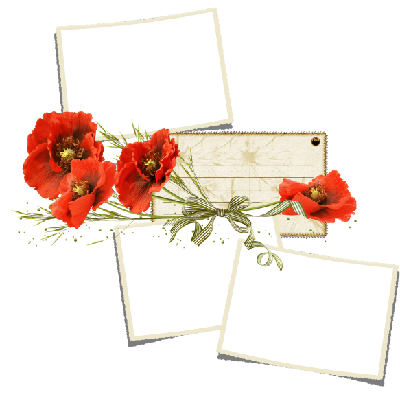 Кластеры с маками на прозрачном фоне