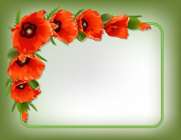 Красивые рамки из маков