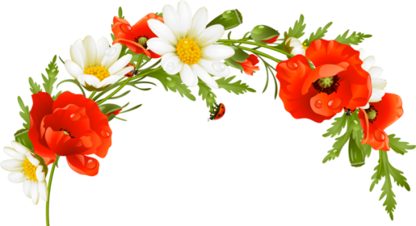 Полевые цветы уголок