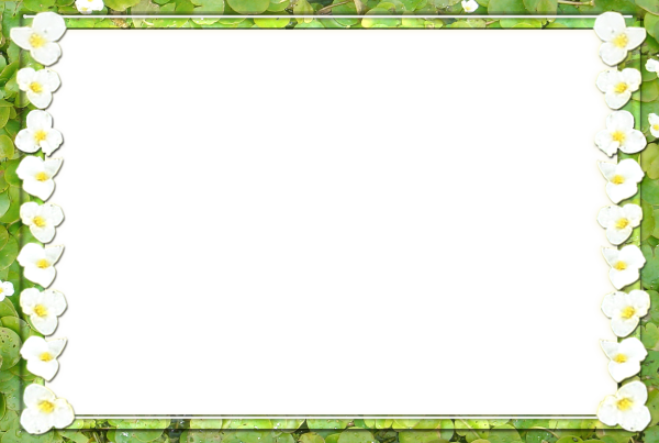 Рамка с весенними цветами