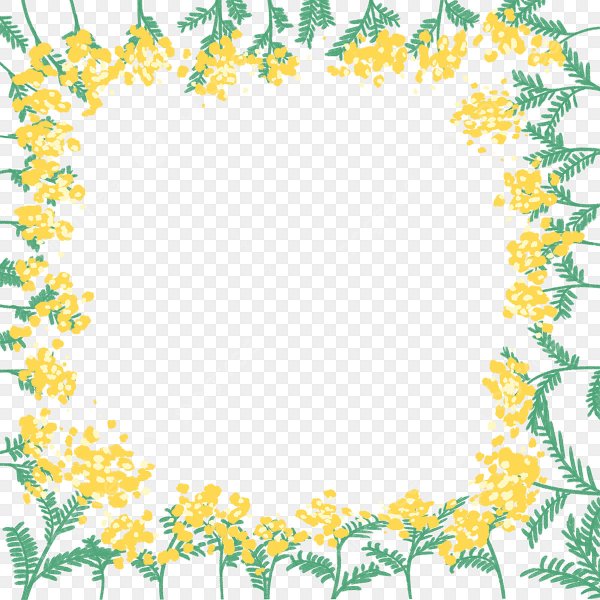 Мимоза рамка