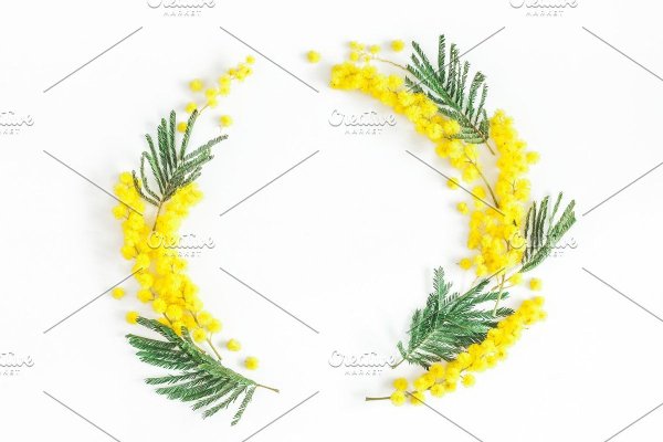 Рамка из мимозы