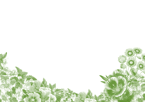 Рамка лекарственные растения