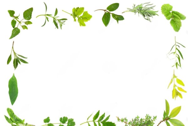 Рамки с лекарственными травами