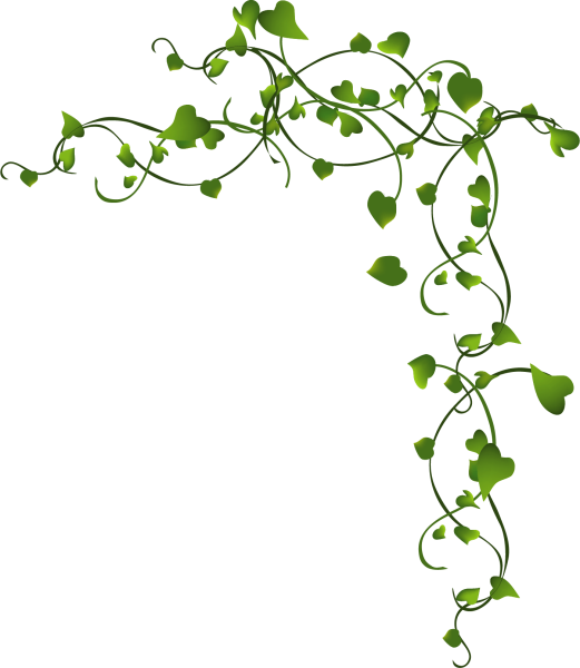 Веточка зеленая для оформления