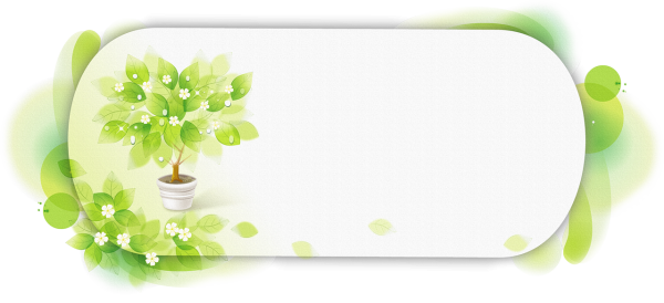 Рамка комнатные растения