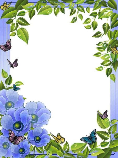 Летняя рамка