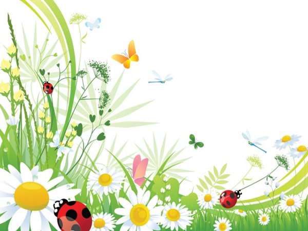 Летний фон прозрачный