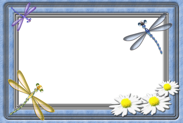 Фоторамки с живыми фотографиями