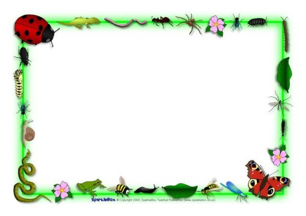 Рамка насекомые для текста