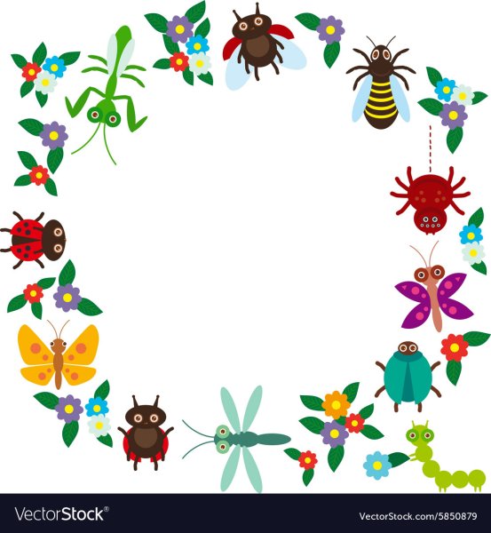 Рамки для оформления текста с насекомыми