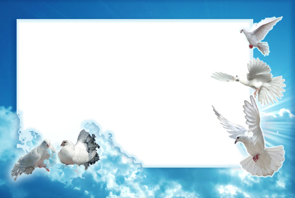 Рамка с голубями для текста