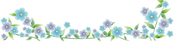 Фон цветы на прозрачном фоне